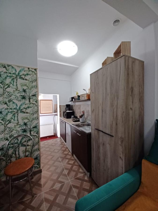 Studio Republicii Apartamento Braşov Exterior foto